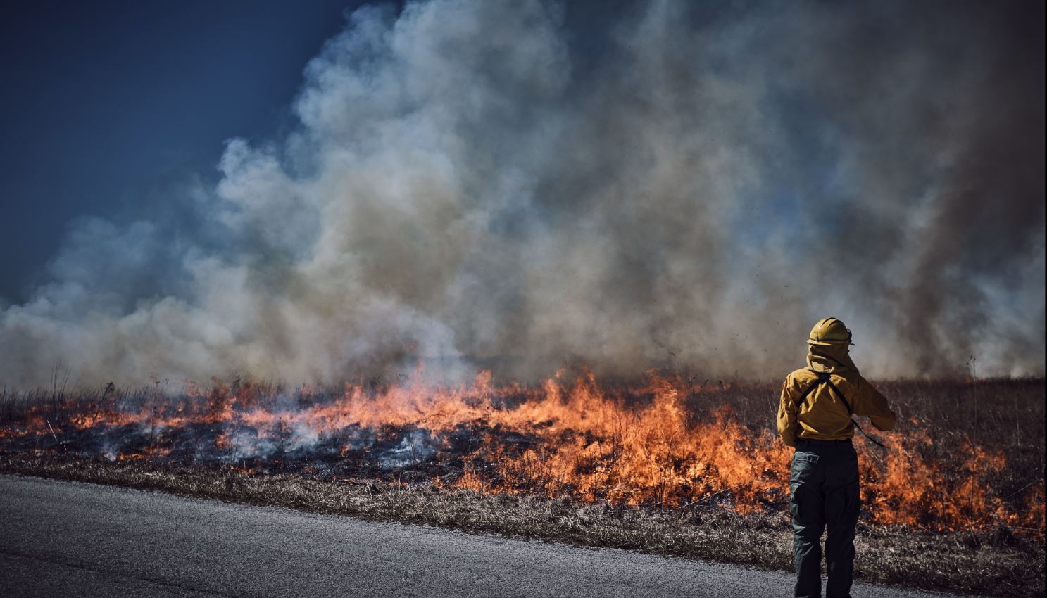 Fire fighter standing in front of a field fire.