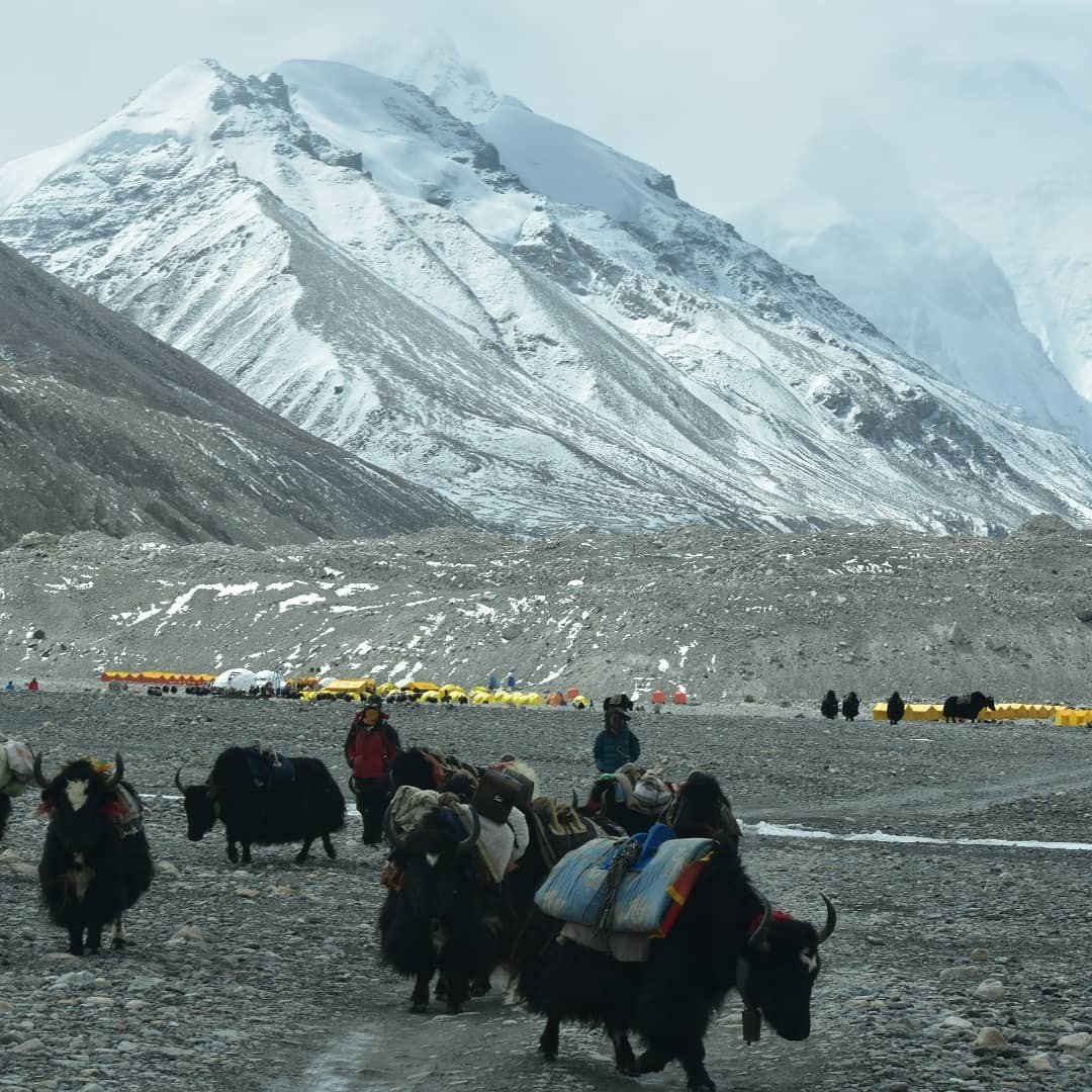 Herders at the Base Camp of Mount Everest.
